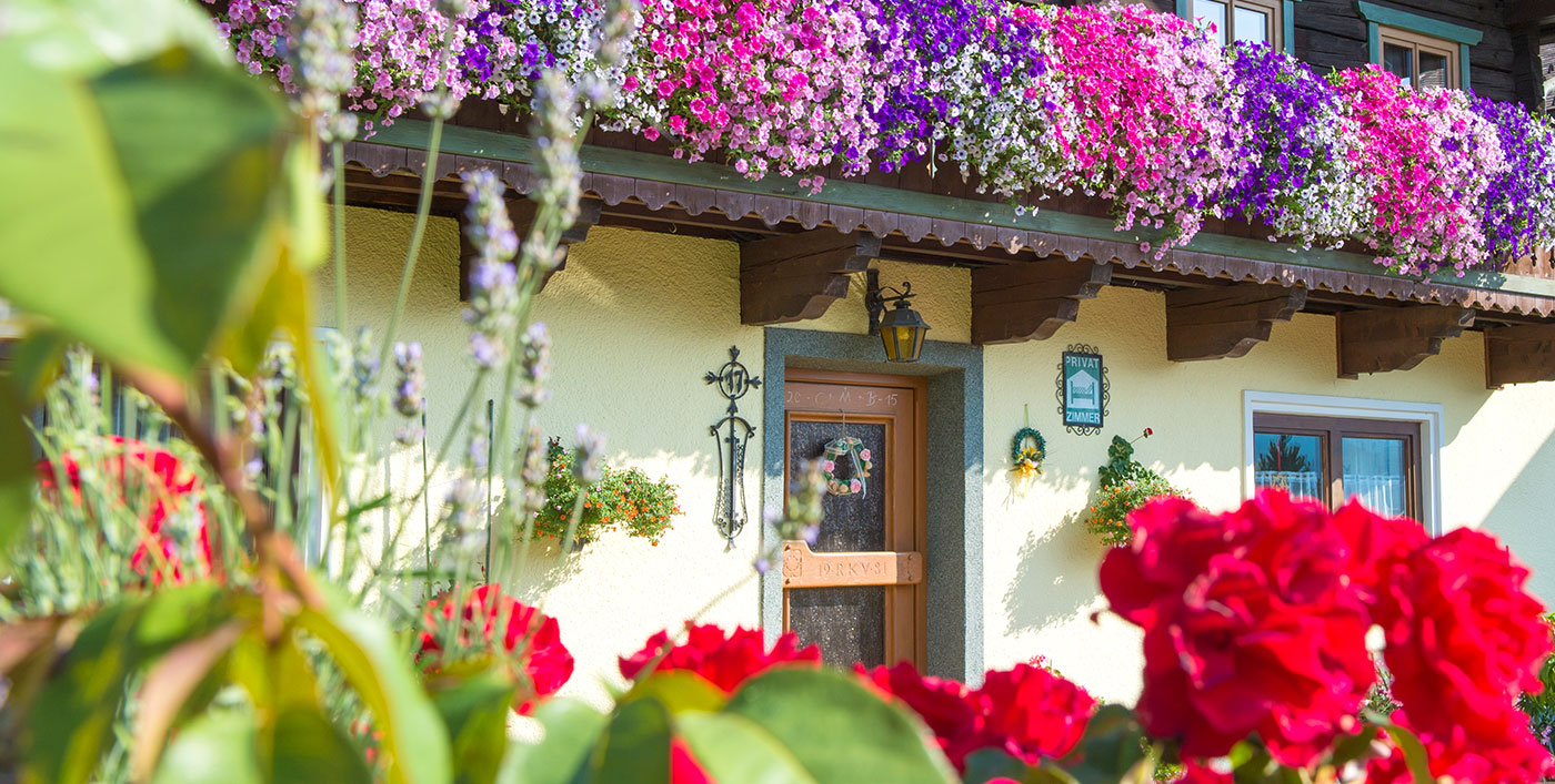 sommer-urlaub-auf-dem-bauernhof-wagrain-ortnergut-3