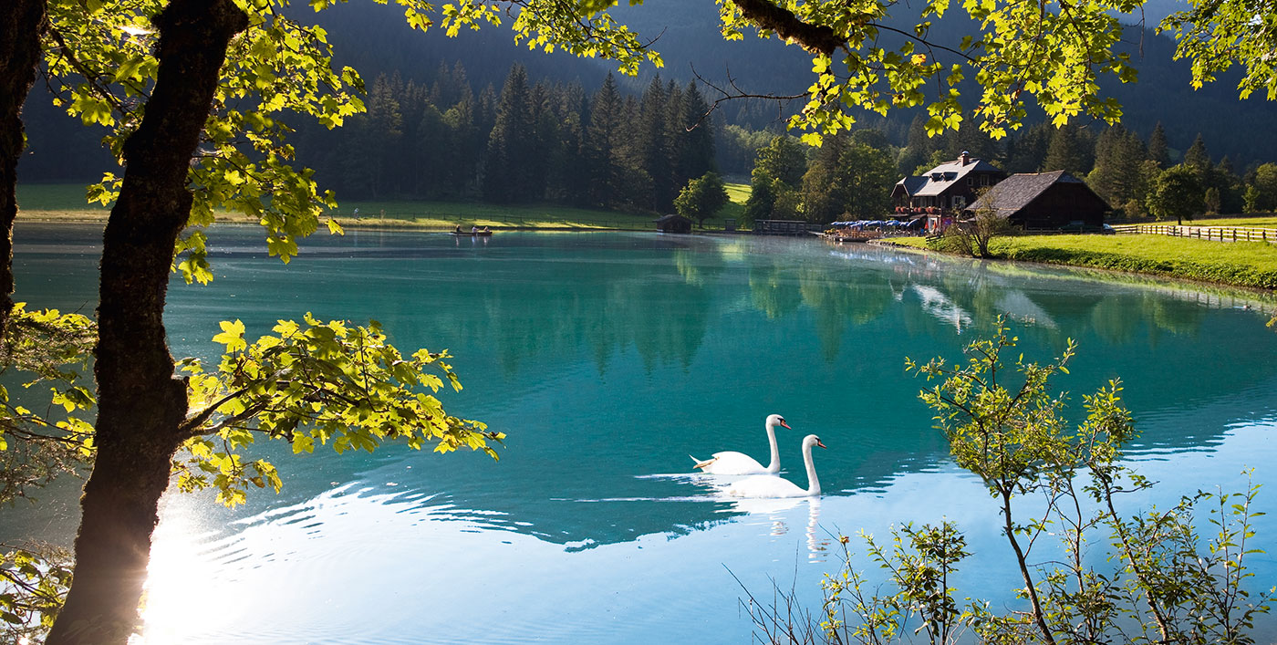 sommer-urlaub-auf-dem-bauernhof-wagrain-ortnergut-6