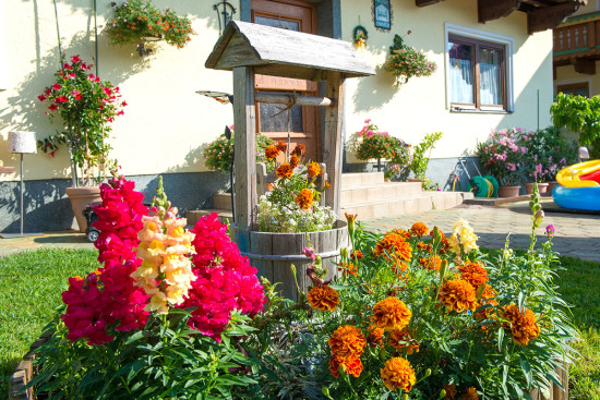 Urlaub am Bauernhof - Ortnerbauer - Wagrain - Kleinarl - Bildergalerie