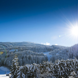 Urlaub am Bauernhof in Wagrain – Ortnerbauer