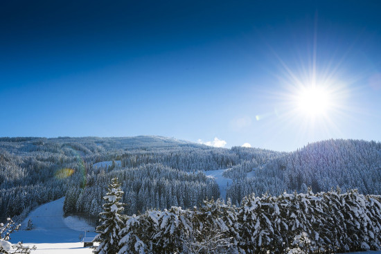 Urlaub am Bauernhof in Wagrain - Ortnerbauer