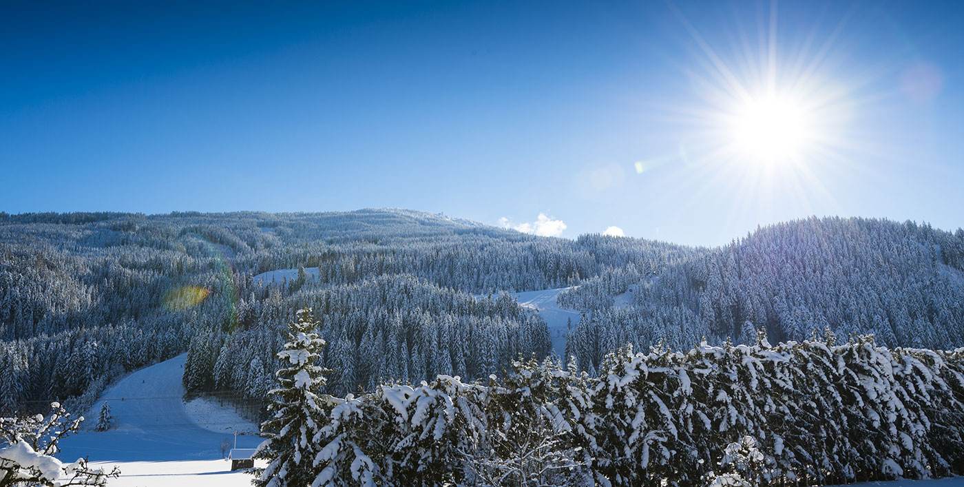 winter-urlaub-auf-dem-bauernhof-wagrain-ortnergut-8