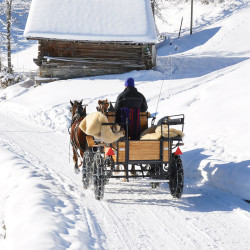 Pferdeschlittenfahrten – Winterurlaub – Wagrain – Salzburger Land – Zimmer – Ferienwohnungen – Ortnerbauer